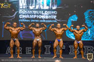 IFBB Чемпионат мира по бодибилдингу - 2019