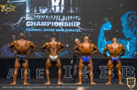 IFBB Чемпионат мира по бодибилдингу - 2019