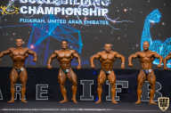 IFBB Чемпионат мира по бодибилдингу - 2019