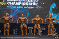 IFBB Чемпионат мира по бодибилдингу - 2019