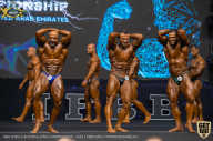 IFBB Чемпионат мира по бодибилдингу - 2019