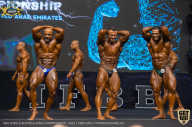 IFBB Чемпионат мира по бодибилдингу - 2019