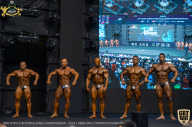 IFBB Чемпионат мира по бодибилдингу - 2019