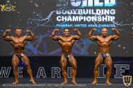 IFBB Чемпионат мира по бодибилдингу - 2019