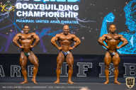 IFBB Чемпионат мира по бодибилдингу - 2019