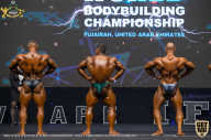 IFBB Чемпионат мира по бодибилдингу - 2019