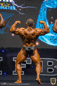 IFBB Чемпионат мира по бодибилдингу - 2019