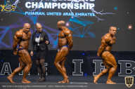 IFBB Чемпионат мира по бодибилдингу - 2019