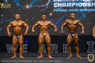 IFBB Чемпионат мира по бодибилдингу - 2019