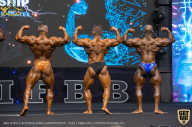 IFBB Чемпионат мира по бодибилдингу - 2019