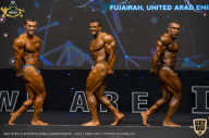 IFBB Чемпионат мира по бодибилдингу - 2019