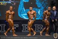 IFBB Чемпионат мира по бодибилдингу - 2019