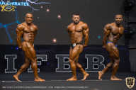 IFBB Чемпионат мира по бодибилдингу - 2019