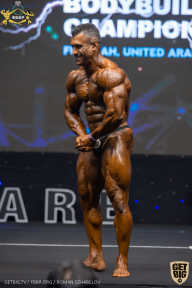 IFBB Чемпионат мира по бодибилдингу - 2019