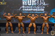 IFBB Чемпионат мира по бодибилдингу - 2019