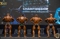 IFBB Чемпионат мира по бодибилдингу - 2019