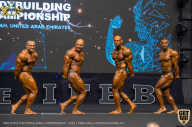 IFBB Чемпионат мира по бодибилдингу - 2019