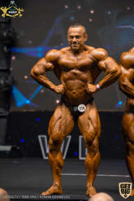 IFBB Чемпионат мира по бодибилдингу - 2019