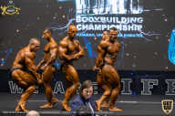 IFBB Чемпионат мира по бодибилдингу - 2019