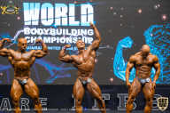 IFBB Чемпионат мира по бодибилдингу - 2019