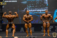 IFBB Чемпионат мира по бодибилдингу - 2019