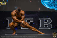 IFBB Чемпионат мира по бодибилдингу - 2019