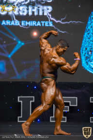 IFBB Чемпионат мира по бодибилдингу - 2019