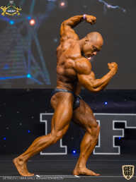 IFBB Чемпионат мира по бодибилдингу - 2019