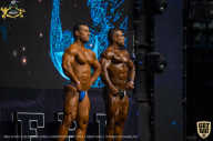 IFBB Чемпионат мира по бодибилдингу - 2019