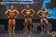 IFBB Чемпионат мира по бодибилдингу - 2019