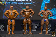 IFBB Чемпионат мира по бодибилдингу - 2019