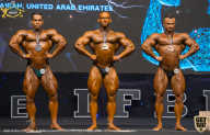 IFBB Чемпионат мира по бодибилдингу - 2019