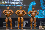 IFBB Чемпионат мира по бодибилдингу - 2019