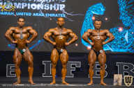 IFBB Чемпионат мира по бодибилдингу - 2019