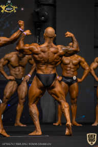 IFBB Чемпионат мира по бодибилдингу - 2019