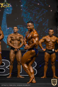 IFBB Чемпионат мира по бодибилдингу - 2019