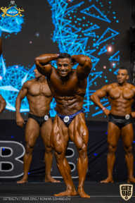 IFBB Чемпионат мира по бодибилдингу - 2019