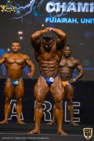 IFBB Чемпионат мира по бодибилдингу - 2019