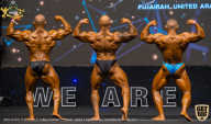 IFBB Чемпионат мира по бодибилдингу - 2019