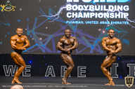 IFBB Чемпионат мира по бодибилдингу - 2019