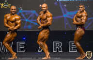 IFBB Чемпионат мира по бодибилдингу - 2019