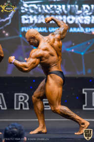 IFBB Чемпионат мира по бодибилдингу - 2019