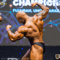 IFBB Чемпионат мира по бодибилдингу - 2019