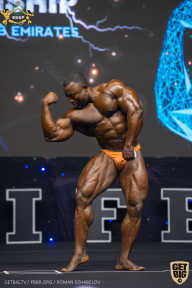 IFBB Чемпионат мира по бодибилдингу - 2019