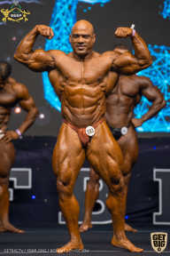 IFBB Чемпионат мира по бодибилдингу - 2019