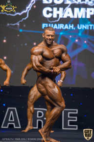 IFBB Чемпионат мира по бодибилдингу - 2019