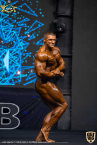 IFBB Чемпионат мира по бодибилдингу - 2019