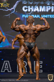 IFBB Чемпионат мира по бодибилдингу - 2019