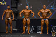 IFBB Чемпионат мира по бодибилдингу - 2019