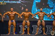 IFBB Чемпионат мира по бодибилдингу - 2019